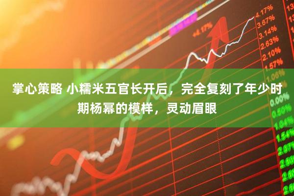 掌心策略 小糯米五官长开后，完全复刻了年少时期杨幂的模样，灵动眉眼